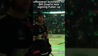 Minnesota Wild 24/25 Season Preview : NHL Vibes Edition #nhl #minnesotawild #nhlpredictions