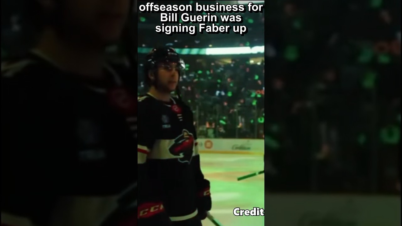 Minnesota Wild 24/25 Season Preview : NHL Vibes Edition #nhl #minnesotawild #nhlpredictions