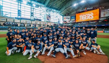 Detroit Tigers Wild Card Series Recap