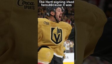 Vegas Golden Knights 24/25 Season Preview : NHL Vibes Edition #vegasgoldenknights #vgk #nhl