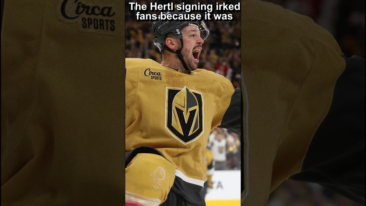 Vegas Golden Knights 24/25 Season Preview : NHL Vibes Edition #vegasgoldenknights #vgk #nhl