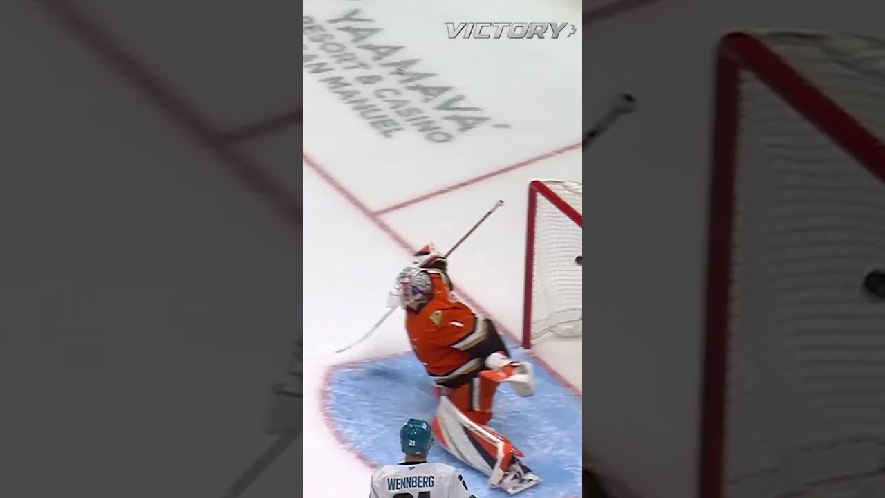 Post-Ping Perfection... Almost 🥅