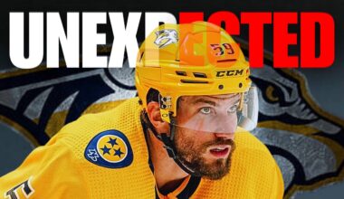 THE HARSH REALITY OF THE NASHVILLE PREDATORS