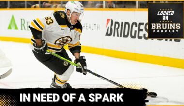 Bruins 4-0 Loss to Predators: Trusting the process or time for action?