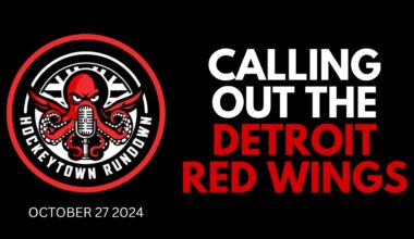 CALLING OUT THE DETROIT RED WINGS | WHAT'S WORKING & WHAT'S NOT IN THE 24-25 SEASON