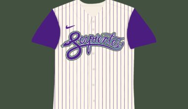 Updated the Serpientes concept a bit.  Added a copper trim around Serpientes, Made slight adjustments to the hat, and added a sleeveless option.