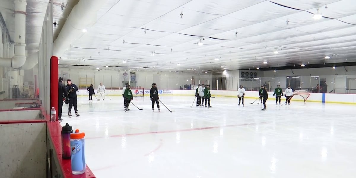 Help support AZ Hockey - Girls hockey program needs help raising money after Arizona Coyotes departure