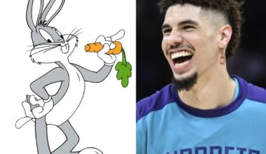 The Charlotte Hornets as Looney Tunes characters