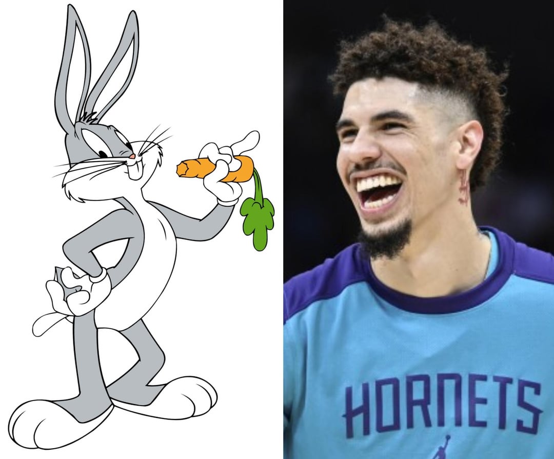 The Charlotte Hornets as Looney Tunes characters