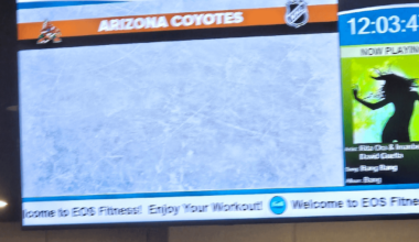 The daily reminder of what we lost...