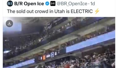 To former coyotes fans rooting for Utah: