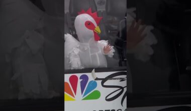 What the Cluck? 🐔