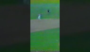 Rafael Santana Good Catch