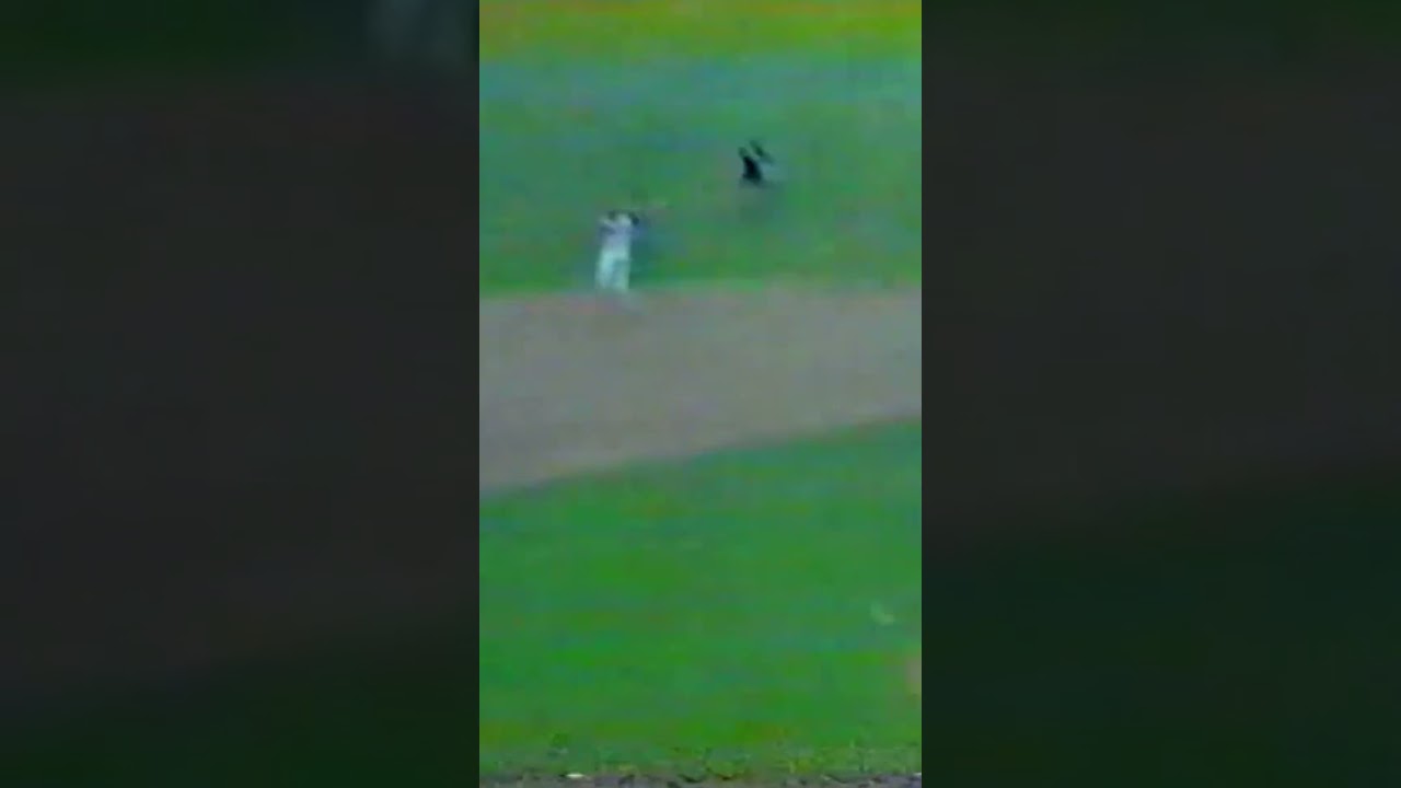 Rafael Santana Good Catch