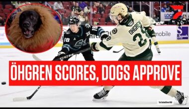 Minnesota Wild Top Prospect Liam Öhgren Scores First AHL Goal With Iowa Wild On Pucks & Paws Day