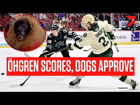 Minnesota Wild Top Prospect Liam Öhgren Scores First AHL Goal With Iowa Wild On Pucks & Paws Day