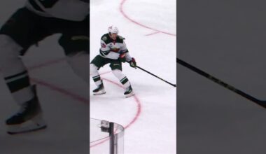 Shark in the water 🦈👀