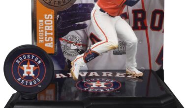 Anyone own the figure?