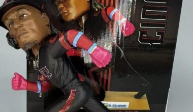 Would anyone want one of these?