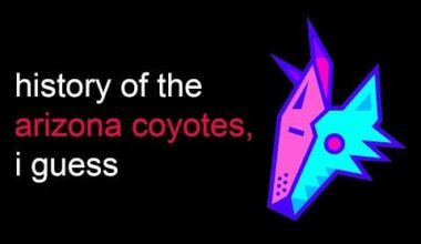 the entire history of the arizona coyotes, i guess