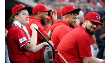 I would just like to know WTF is going on in this photo.