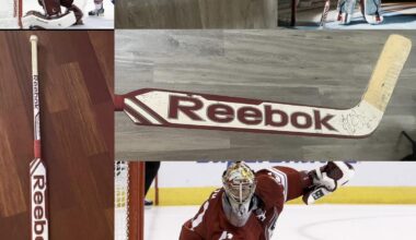 Picked up this Mike Smith 2013 Gamer recently.  Favorite Yote of all time.  Scored his goal with the same stick model