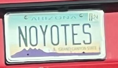 Two license plate posts, what has my life come too... Is this guy in my neighborhood for or against us? What do we think?