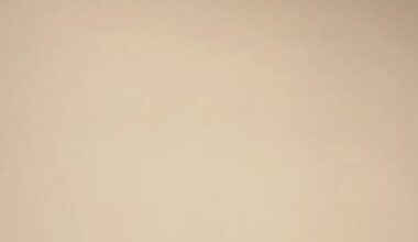 [Precious Achiuwa] Congrats OG, well deserved