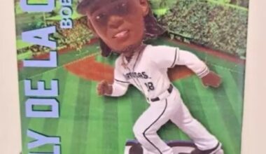 Also have a bunch of these any interest?