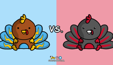 Atlanta Falcons Week 13 Matchup Doodle :) Happy Thanksgiving !