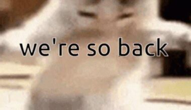 Going from last place in the west to second-to-last place