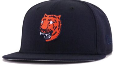 1927-28 Tigers logo we all know and love. 2027 is coming, why not a weekend throwback series with this?