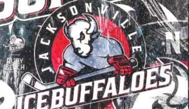 First look at the Jacksonville Icemen’s(ECHL affiliate) “affiliate night” Jacksonville Icebuffaloes logo mashup