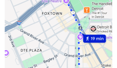 Visiting Devil's Fan