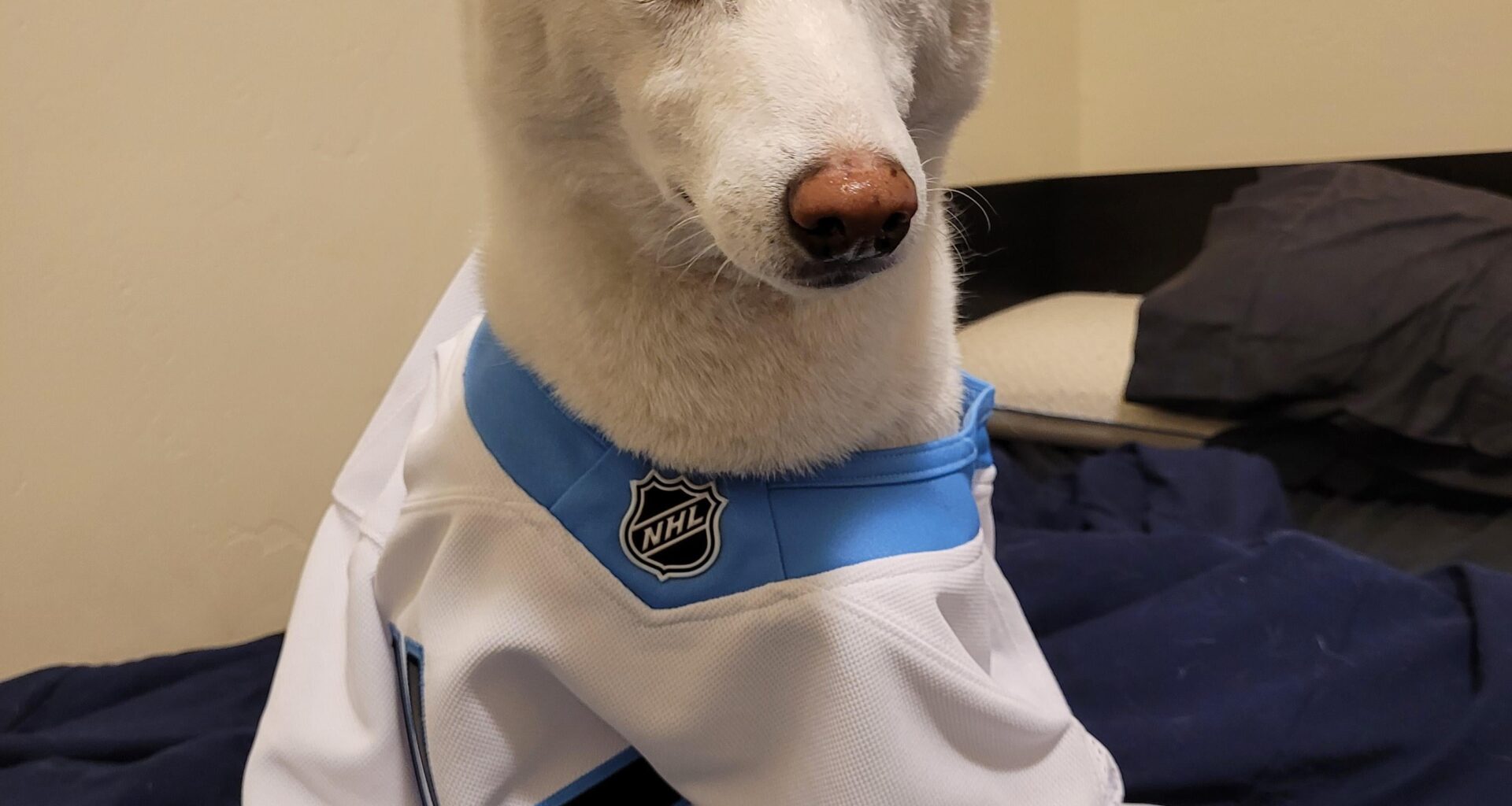 Think It might be a little big for him