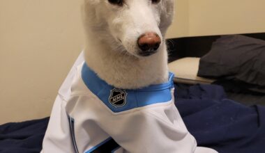 Think It might be a little big for him