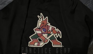 Can anyone tell me about this jersey?