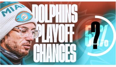 Miami Dolphins Playoff Chances After Week 13! I Know I Know.......