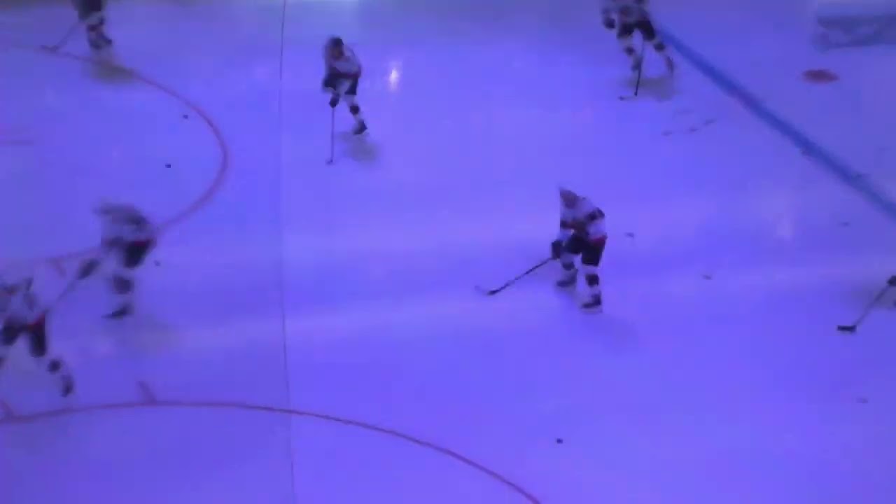 Ottawa Senators vs Los Angeles Kings  Pregame 11/30/24