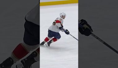 Spectacular Shootout Move 🇫🇮🐆