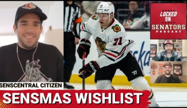 Which Type Of Players Should The Ottawa Senators Target In A Trade?