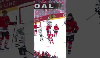 Bert lets Bedsy know! 👉👉🚨