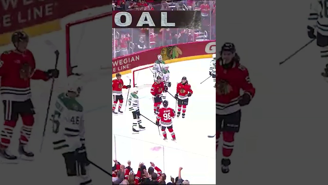 Bert lets Bedsy know! 👉👉🚨