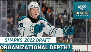 2022 San Jose Sharks Draft Check In: Can Filip Bystedt And Others Provide Organizational Depth?