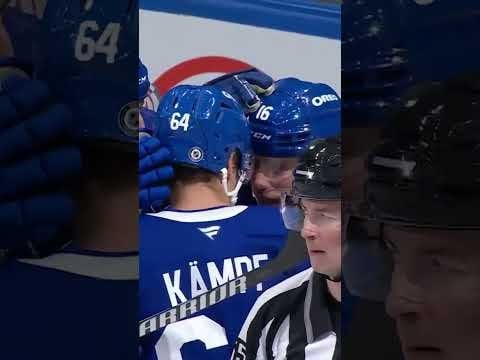 Leafs Plays of the Month of November