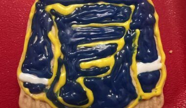 My best shot at decorating a sweater….