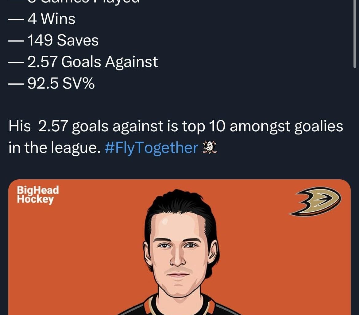 Your weekly /r/anaheimducks roundup for the week of November 25 - December 01, 2024
