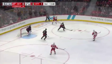 Cat 11th of year 12/05/2024