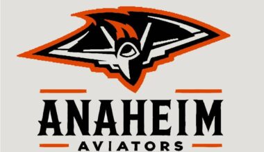 What if Anaheim had an NFL team to complement the Angels and Ducks? 🤔