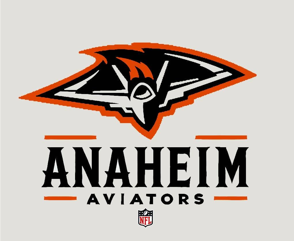 What if Anaheim had an NFL team to complement the Angels and Ducks? 🤔